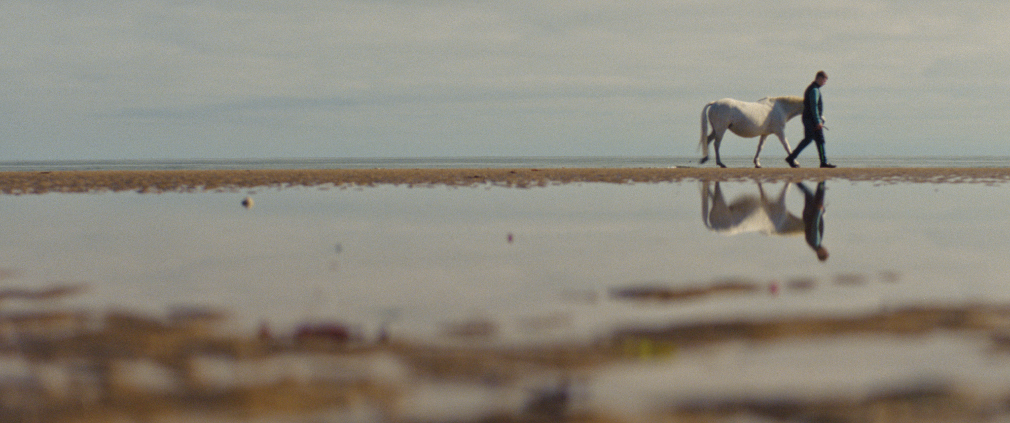 A man walking with a grey horse along the beach.